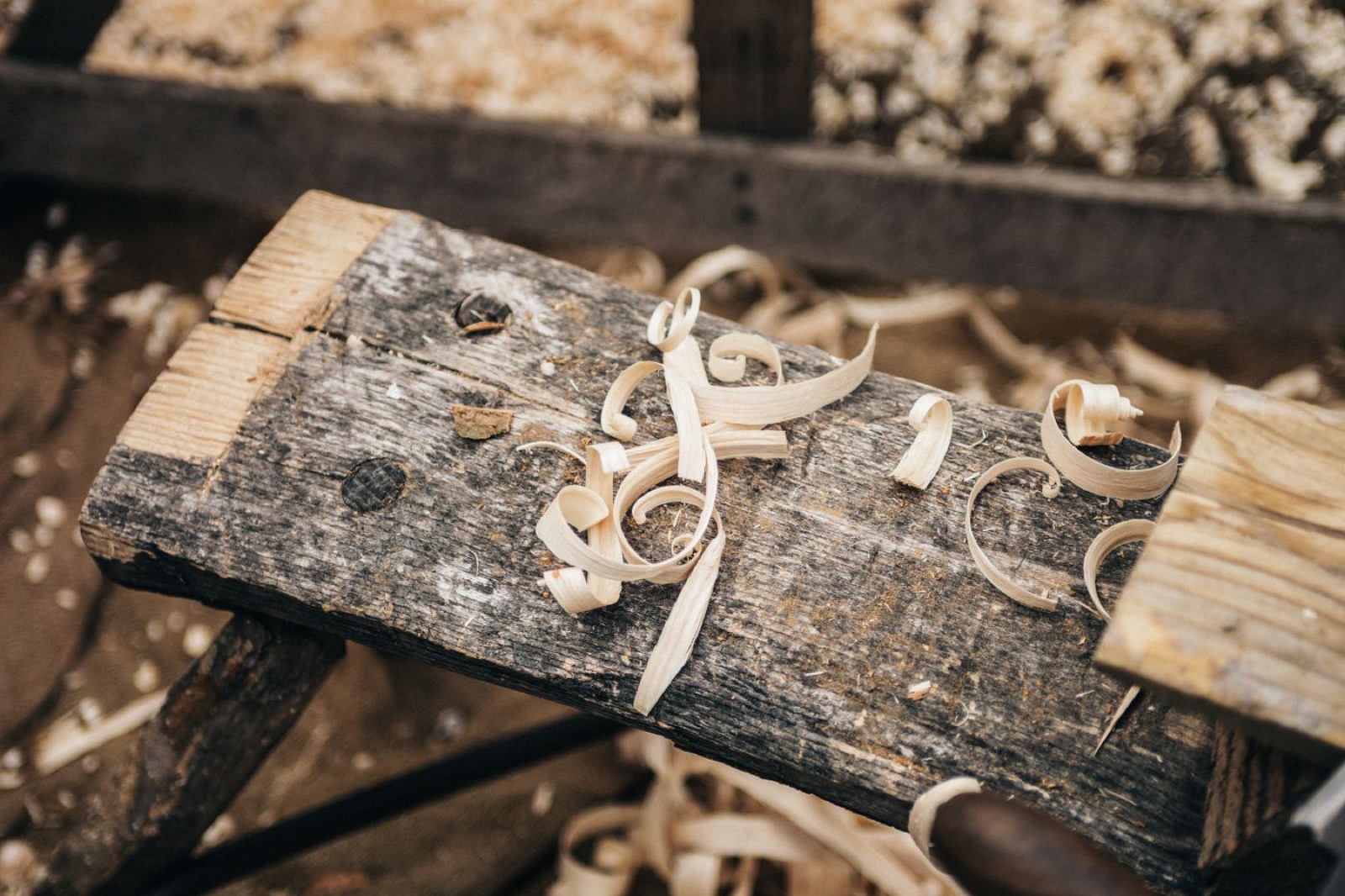 Pale curls of wood shavings resting on an old workbench
